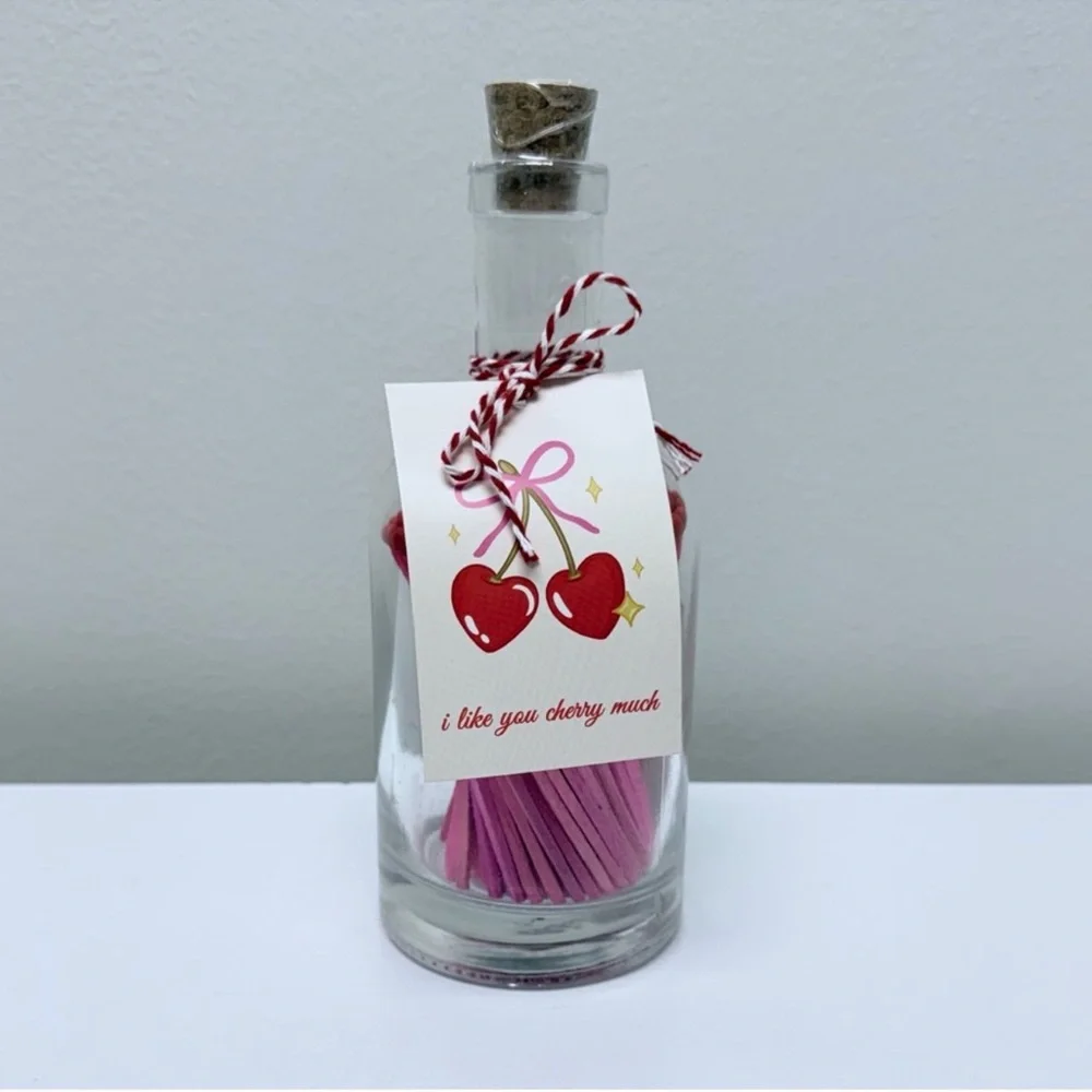 New! Aldi Kirkton House Decorative Pink Matches w/ Red Tips in Glass Bottle